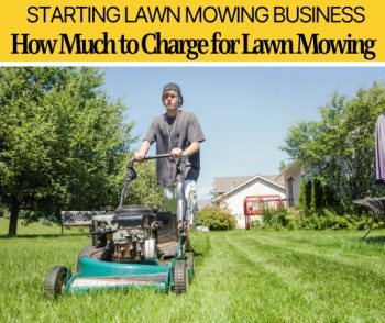 How Much To Charge For Lawn Mowing (How Much Can I Make?)