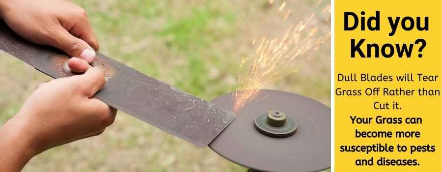 sharp blade difference - how sharp lawnmower blades should be