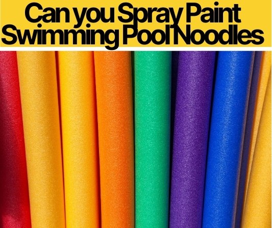 Can you Spray Paint Swimming Pool Noodles
