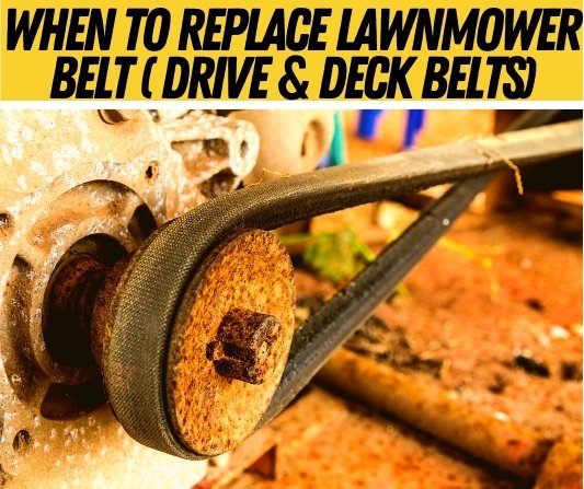 when to replace lawnmower belt